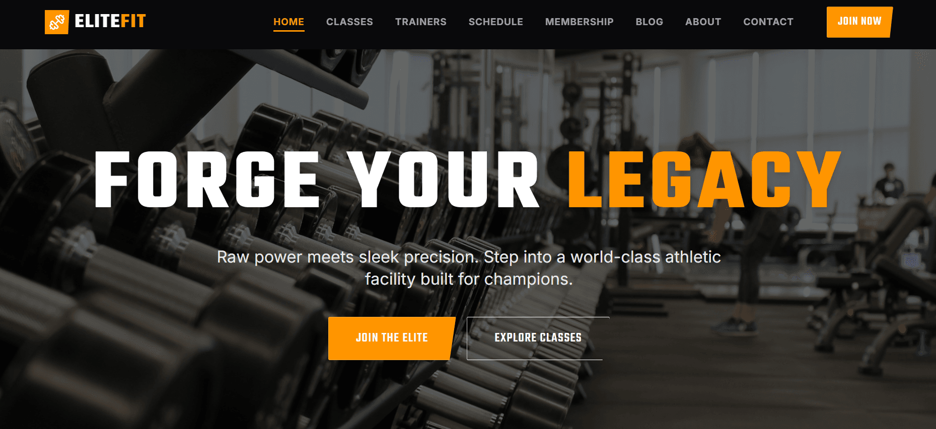 Website work sample 1