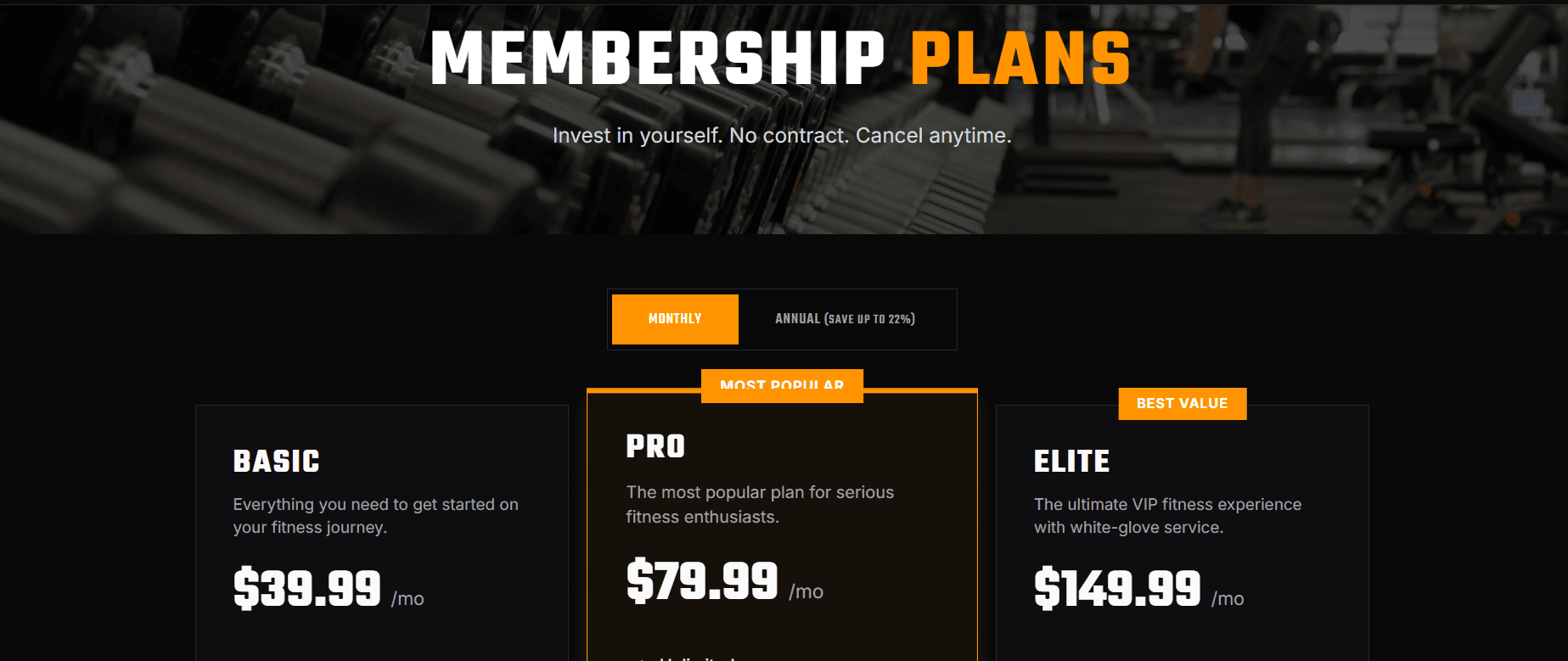 Website work sample 4