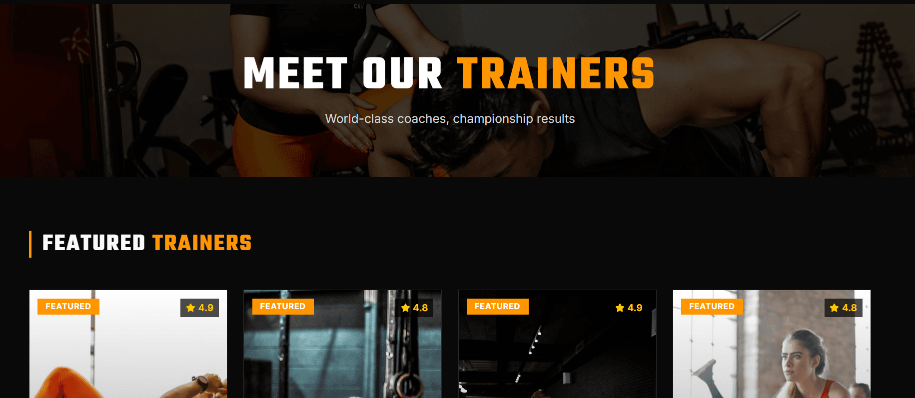 Website work sample 5